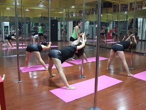 合肥钢管舞培训：信誉卓越的钢管舞学校选择指南