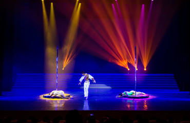 南昌专业钢管舞培训机构推荐及培训指南