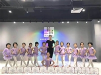 钢管舞培训 力量、优雅与自信的融合之旅